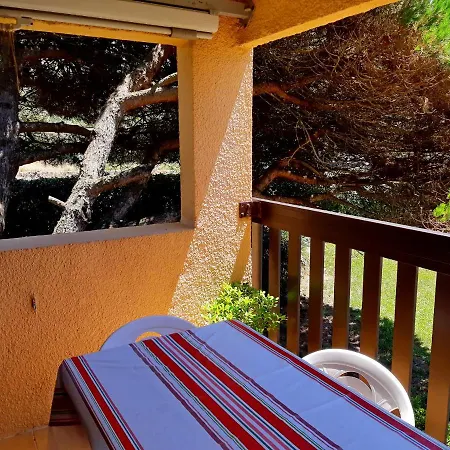 Sejour Zen Entre Ocean Et Foret Apartment